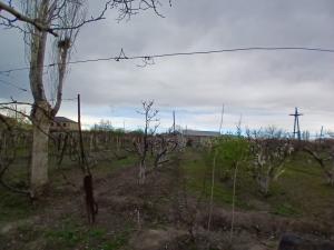 Վաճառվում է հողատրացք Հոկտեմբերյանի մարզ Գյուղ Այգեշա